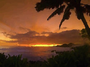 Sunset at Palm Hill