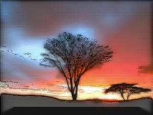 Lonely Desert