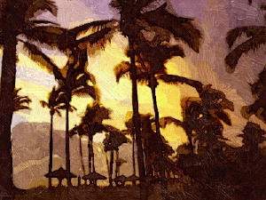 The Palm Hil