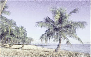 Purple Shore