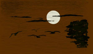 Warding Island