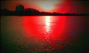 The Red Sea 